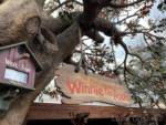 WDW-Magic-Kingdom-The-Many-Adventures-pf-Winnie-the-Pooh-1
