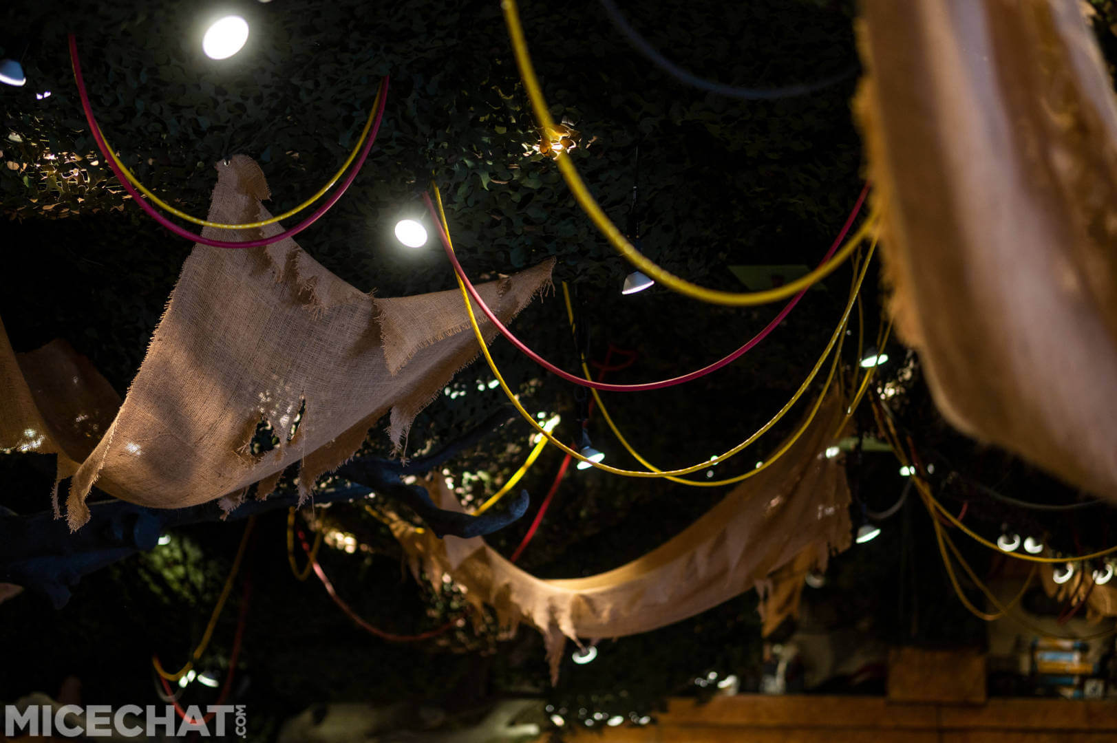 , FIRST LOOK Inside the NEW Star Wars Trading Post in Downtown Disney Anaheim!