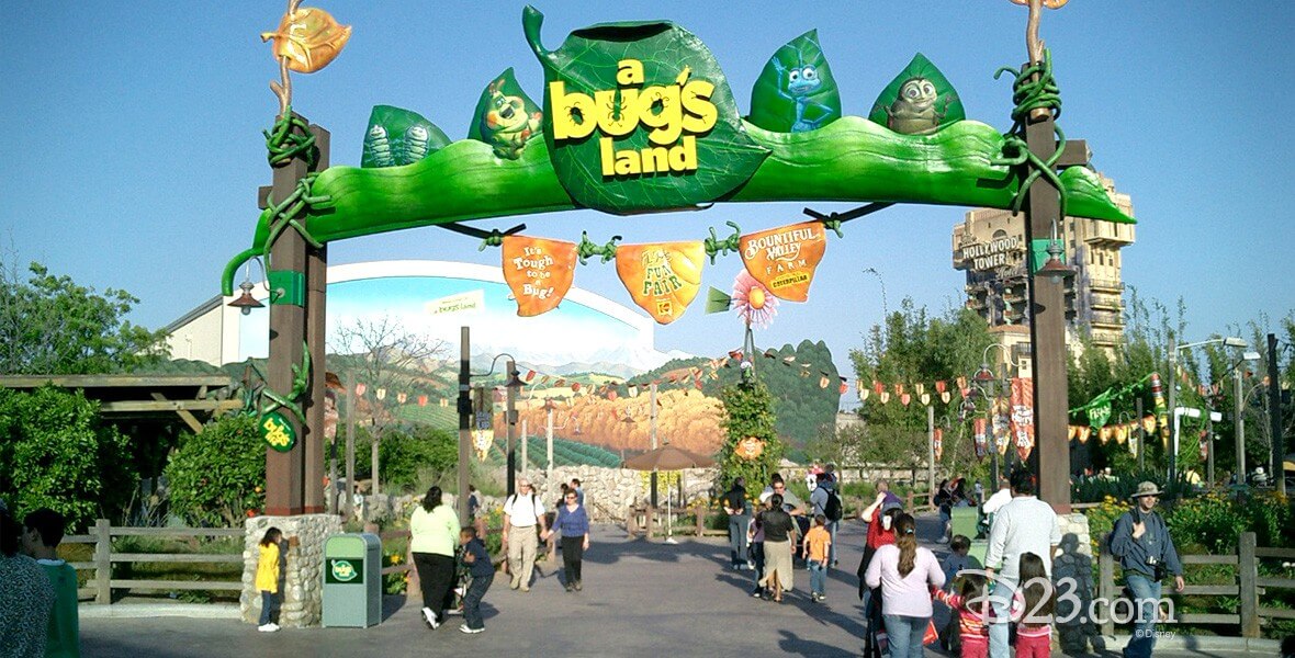 A Bug's Land, 2002