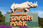 san-diego-safari-park