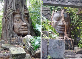 Yesterland: Jungle Cruise Comparisons, Disneyland and Magic Kingdom