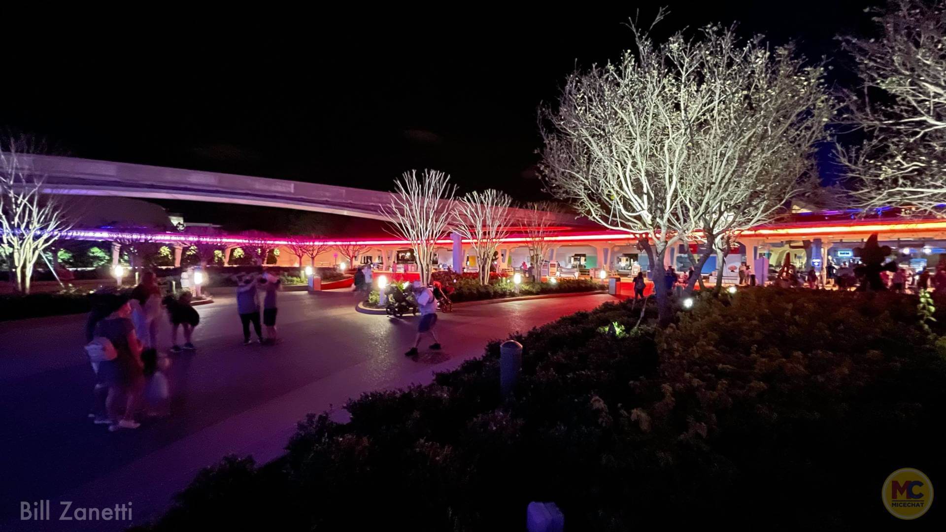 , Walt Disney World Updates – Splash, Bloom, Zoom