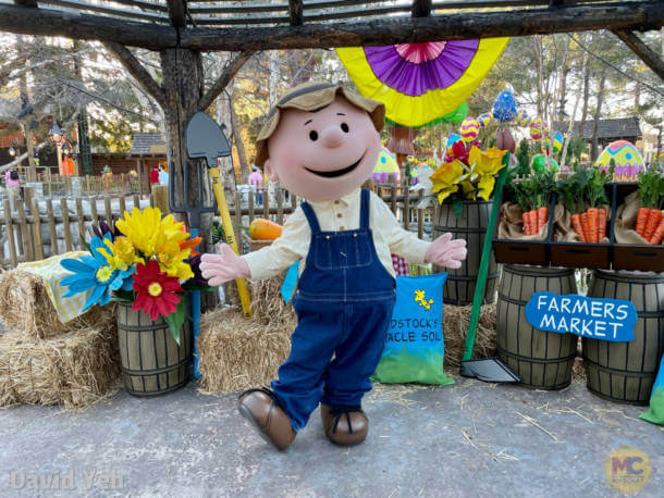 , Knott&#8217;s Boysenberry Festival Blooms &#038; Preparing for Reopening