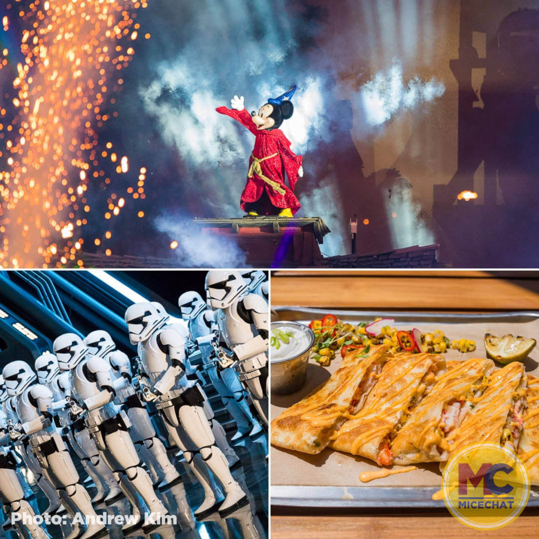 , Disneyland Update – Not Quite As Soon As You Think