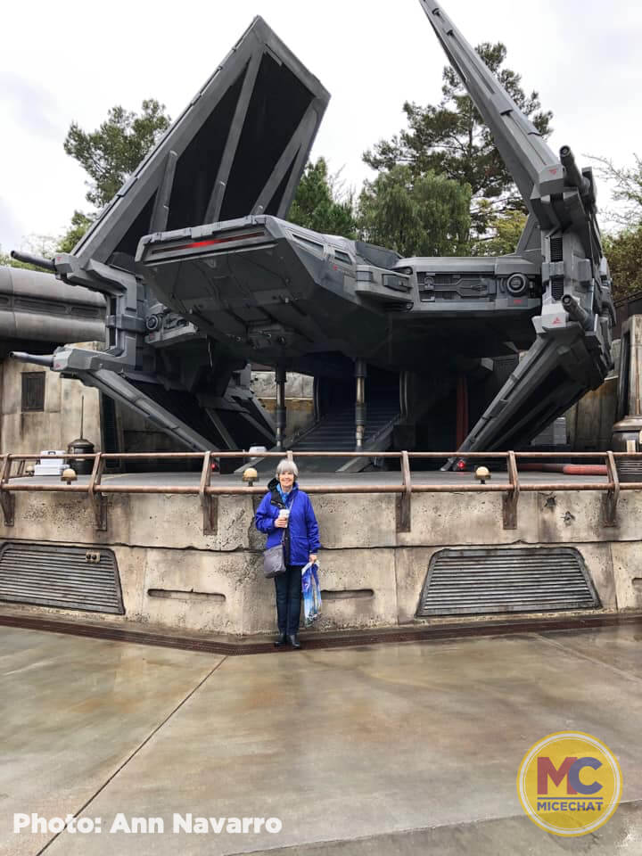 , Disneyland News Update – It’s Looking Good!