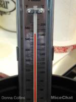 Copycat Disneyland Corndog MiceChat heated oil
