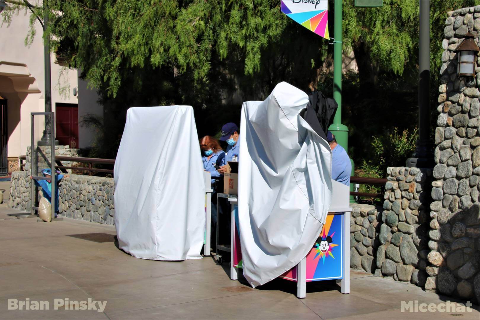, Disneyland News Update – It’s Looking Good!