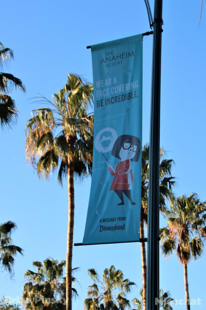 , Disneyland News Update – It’s Looking Good!