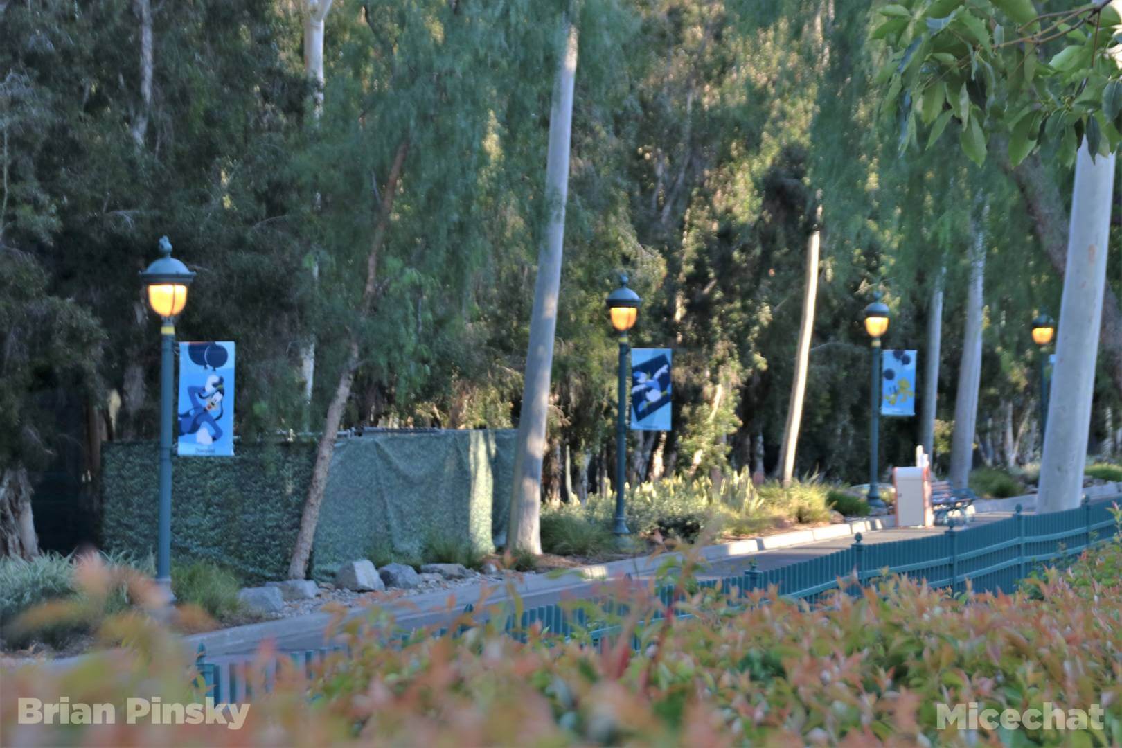 , Disneyland News Update – It’s Looking Good!