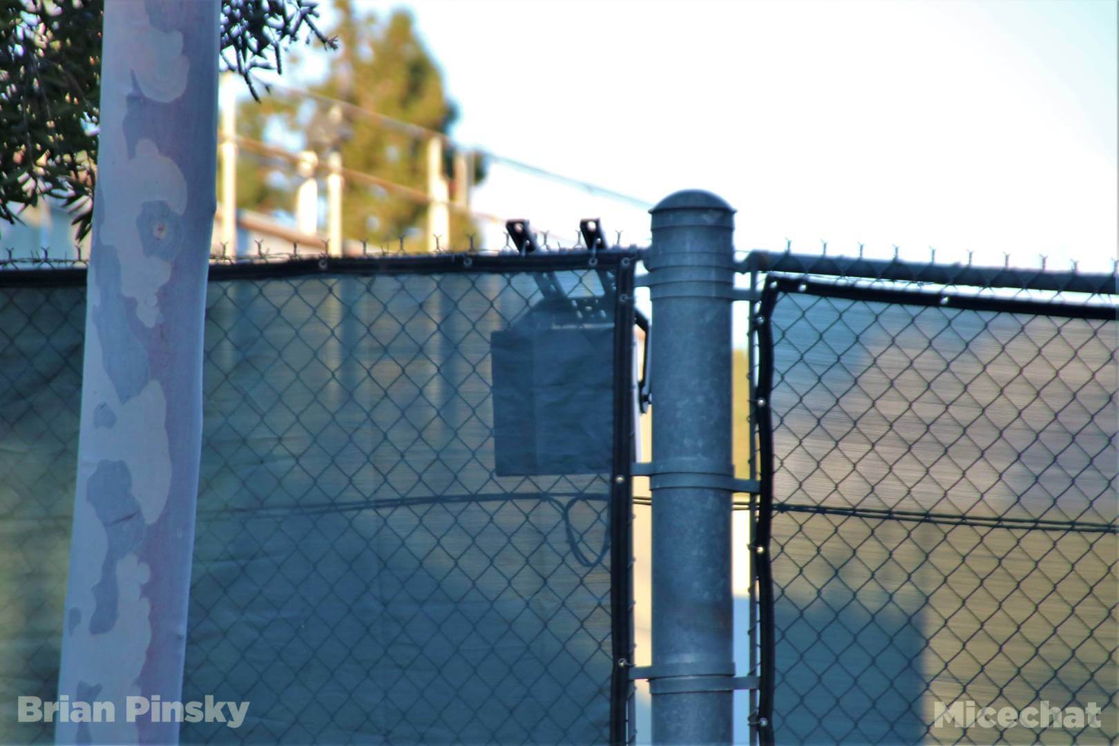 , Disneyland News Update – It’s Looking Good!