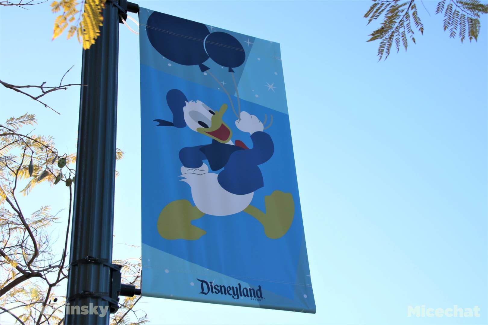 , Disneyland News Update – It’s Looking Good!