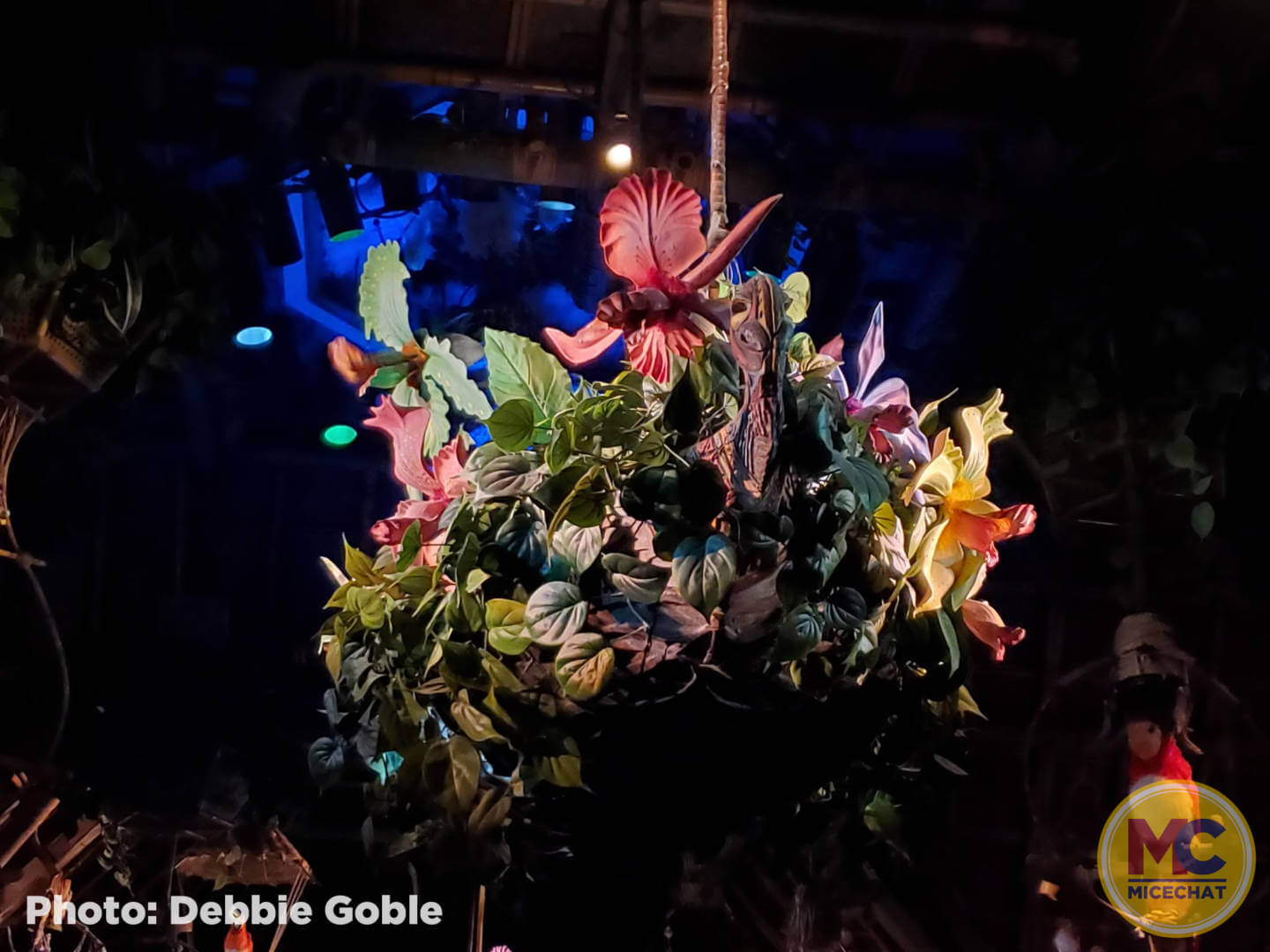 , Disneyland Update – To Dream The Impossible Dream