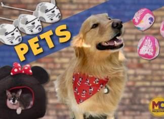 Disney Merchandise for Dogs and Cats