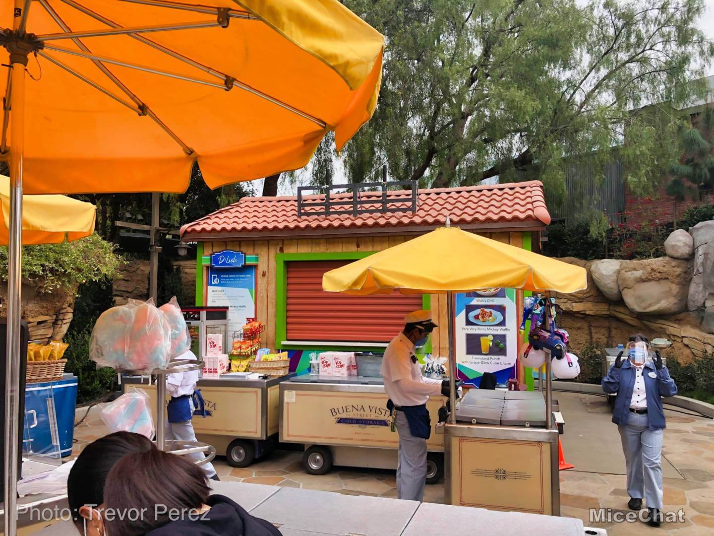 , Disneyland Update – Not Quite As Soon As You Think