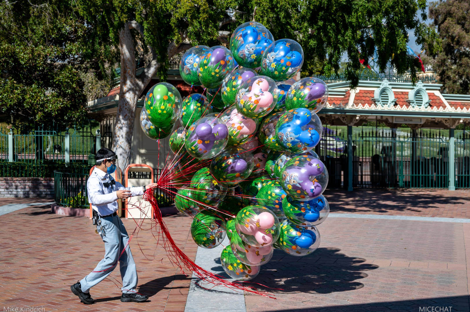 , Disneyland News Update – It’s Looking Good!