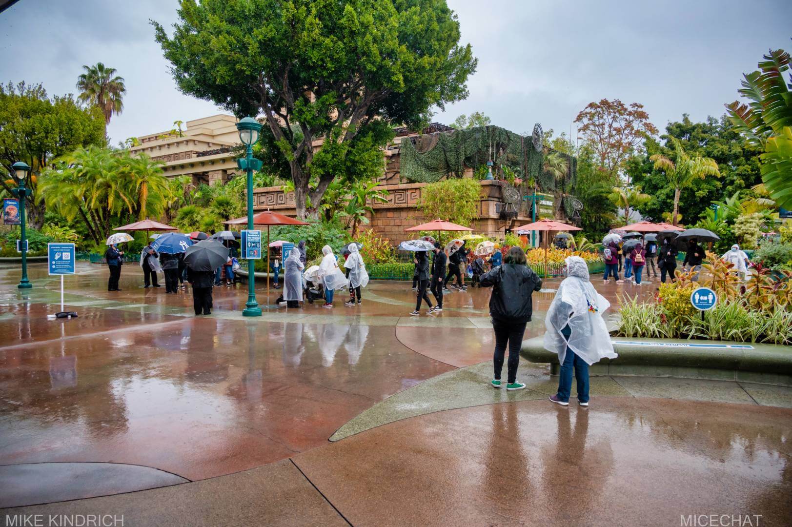 , Disneyland Update &#8211; Not Quite As Soon As You Think