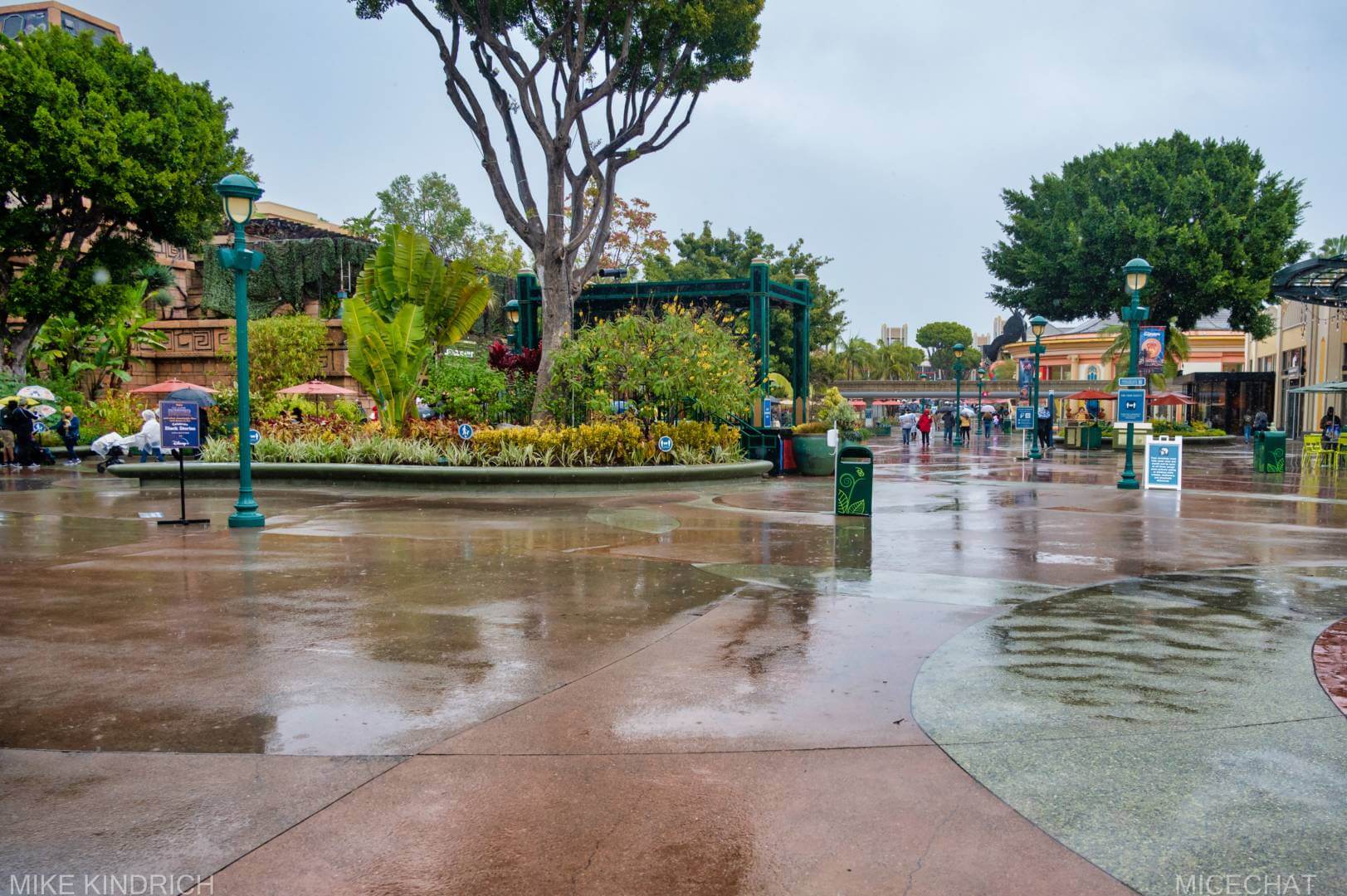 , Disneyland Update &#8211; Not Quite As Soon As You Think