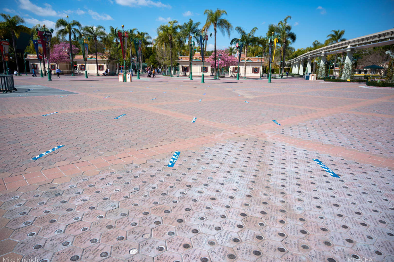 , Disneyland News Update – It’s Looking Good!