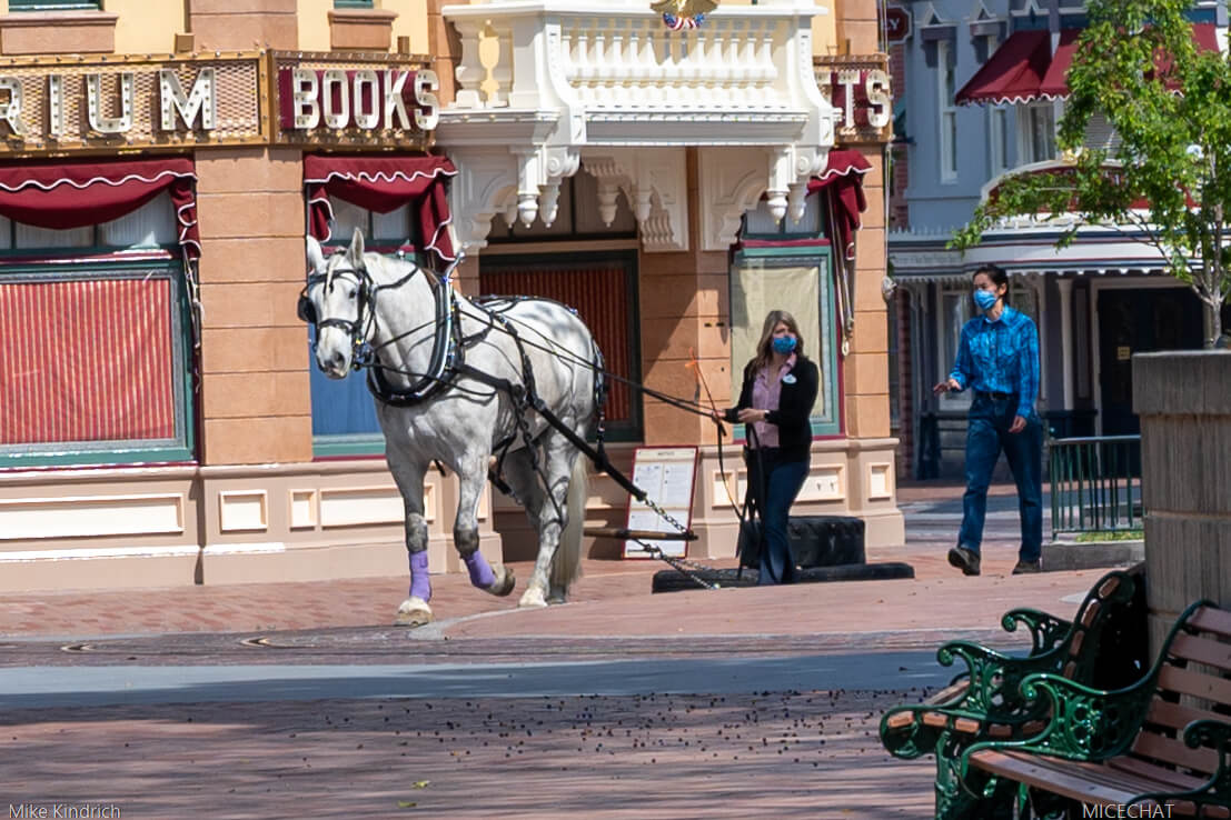 , Disneyland News Update – It’s Looking Good!