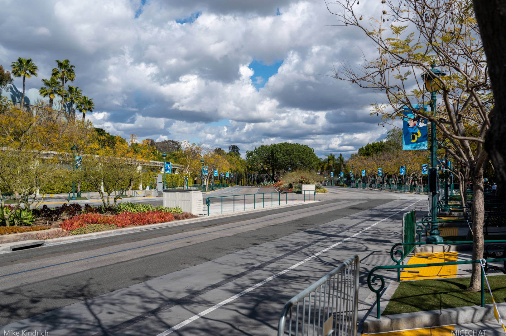 , Disneyland News Update – It’s Looking Good!