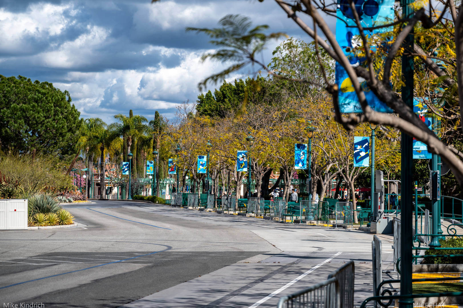 , Disneyland News Update – It’s Looking Good!