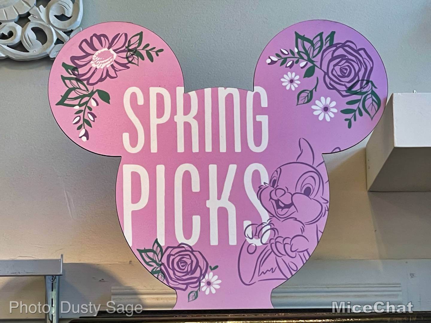 , Disneyland Update – To Dream The Impossible Dream
