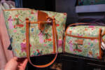 Downtown Disney_Dress Shop_Dooney_Bourke_Robin Hood Bags