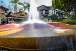 Downtown Disney_Flower Fountain_Artistic_Long Exposure