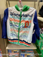 Downtown-disney-world-of-disney-disneyland-colorful-kids-windbreaker
