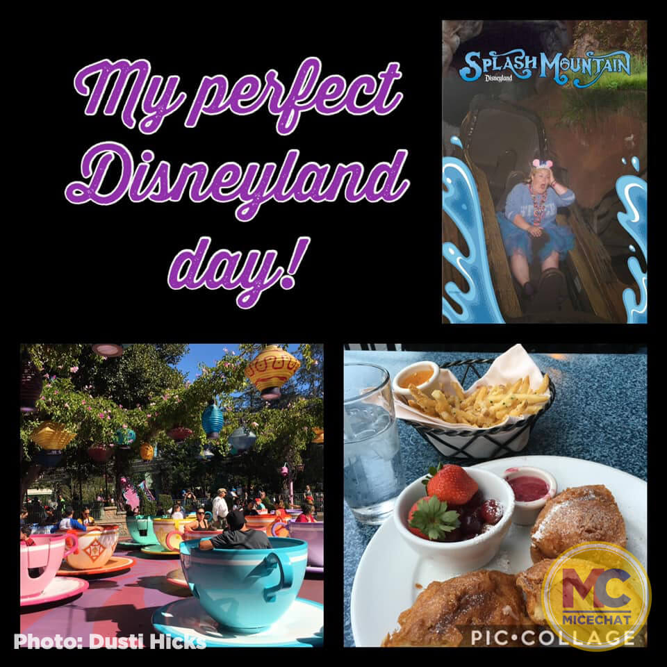 , Disneyland Update – Not Quite As Soon As You Think