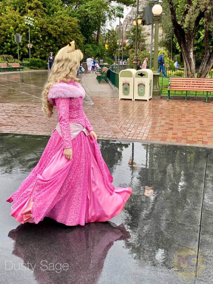 , Disneyland News Update – It’s Looking Good!