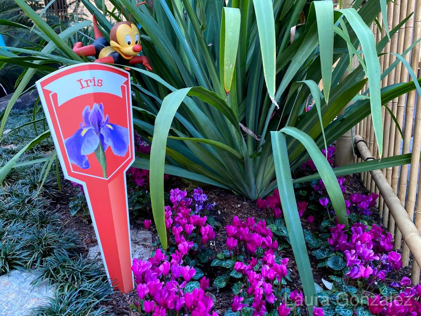EPCOT FUN: Spike's Pollen-Nation Exploration at the Flower and