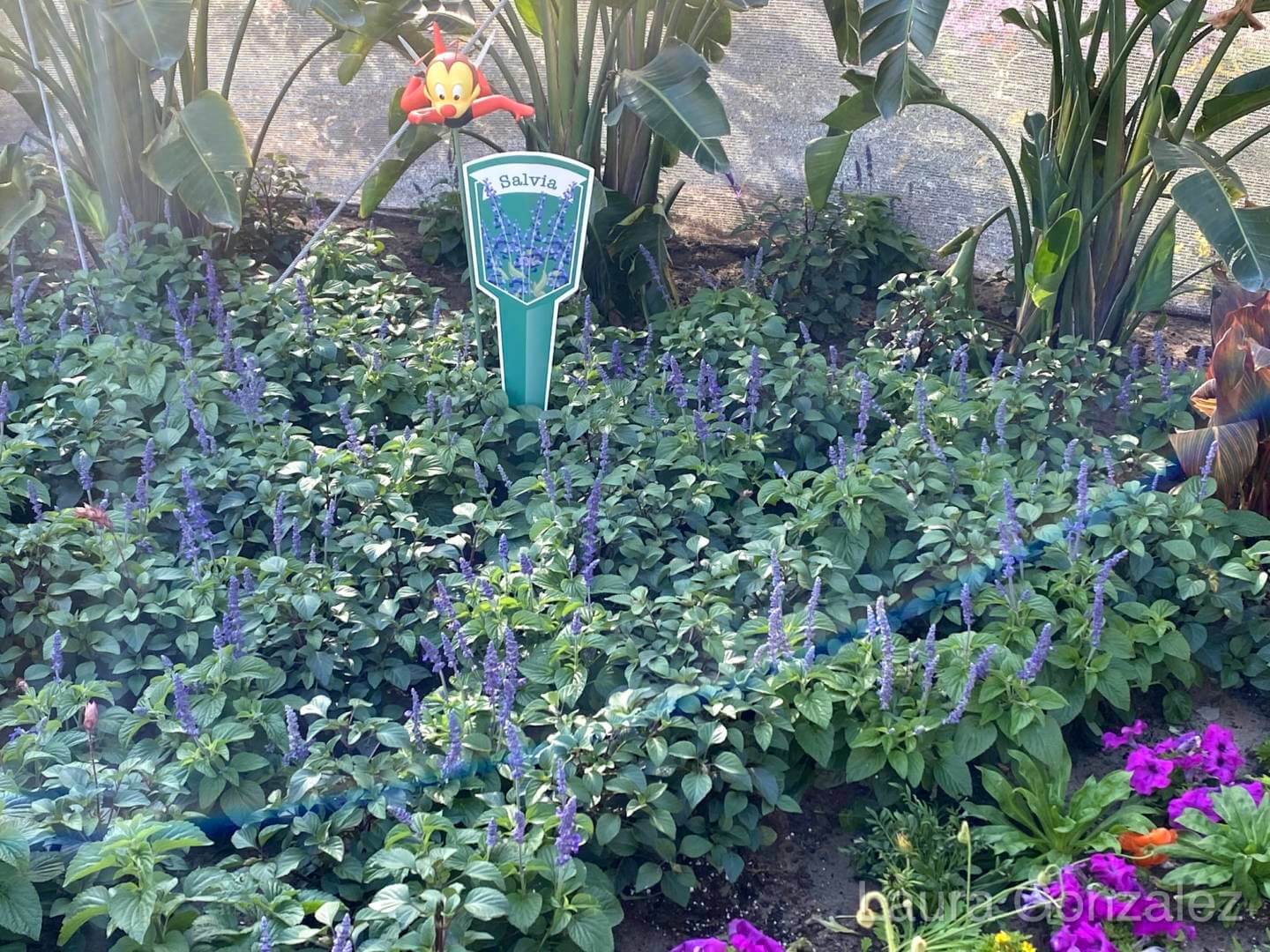 , EPCOT FUN: Spike&#8217;s Pollen-Nation Exploration at the Flower and Garden Festival