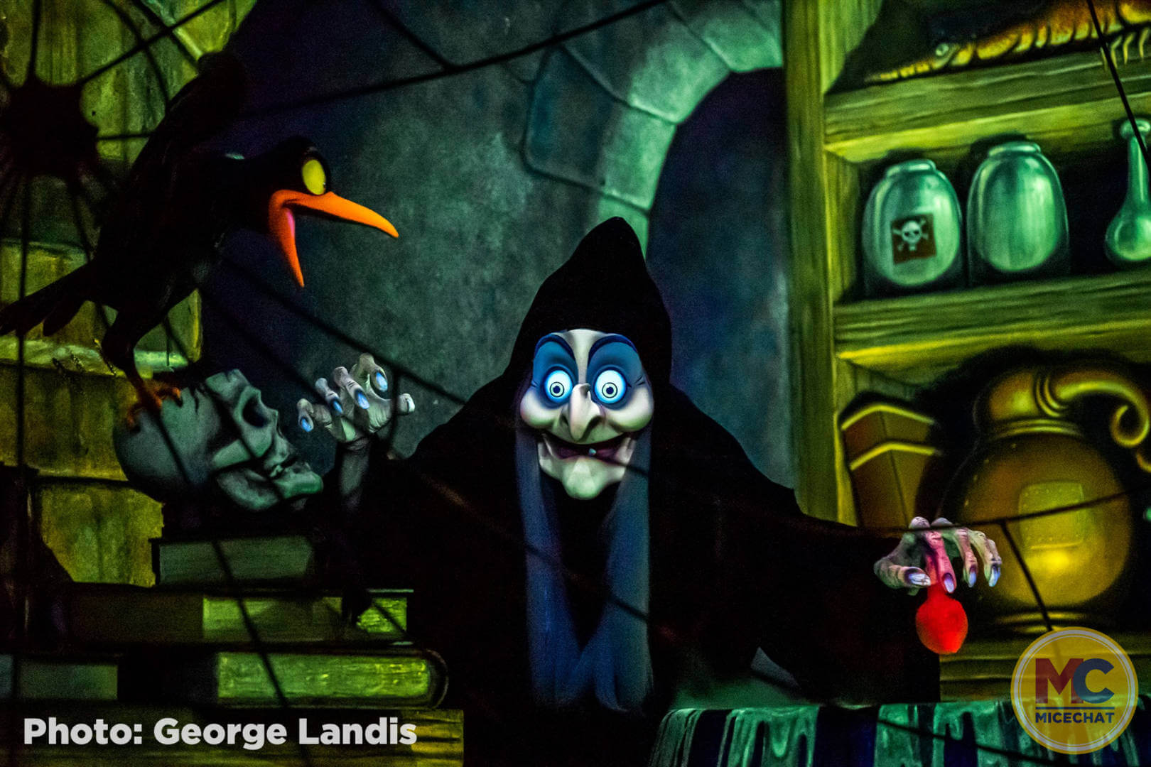 , Disneyland News Update – It’s Looking Good!