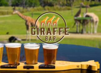 New Giraffe Bar at Busch Gardens Tampa Opens Today
