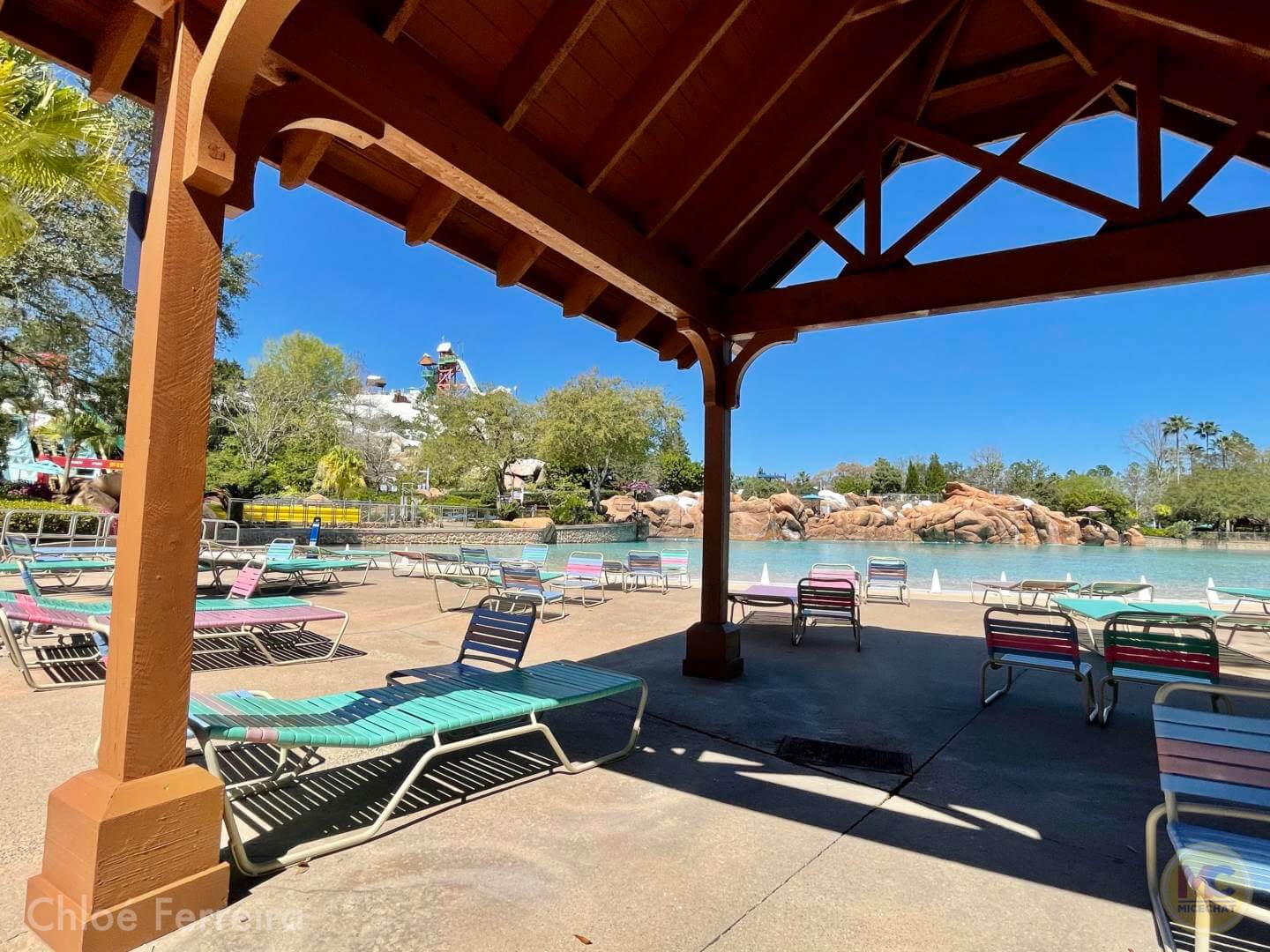 , Walt Disney World Updates – Splash, Bloom, Zoom