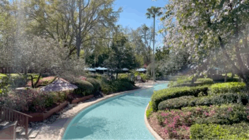 , Walt Disney World Updates – Splash, Bloom, Zoom