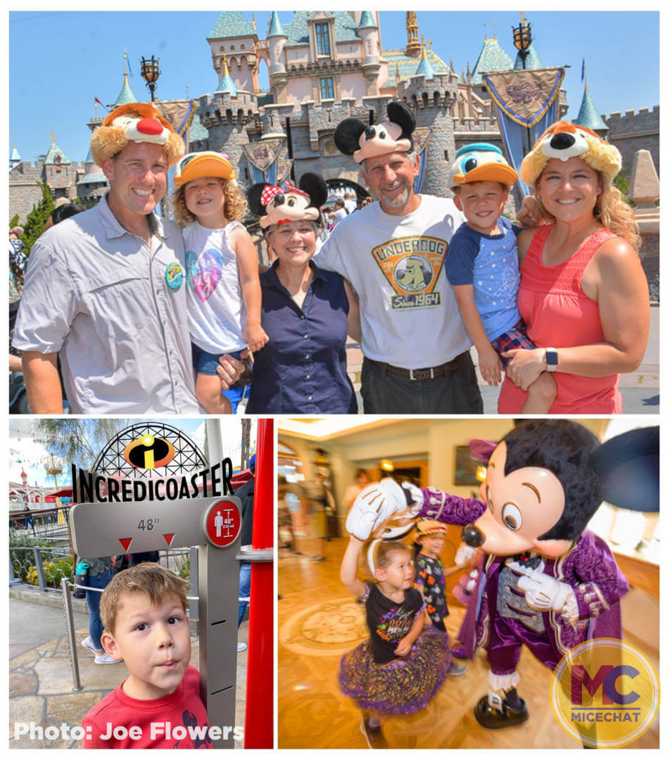 , Disneyland Update – Not Quite As Soon As You Think