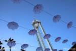 Knotts-Boysenberry Festival 2021-Unbrellas