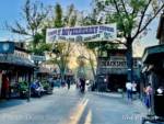Knott’s Boysenberry Festival Calico Banner-micechat