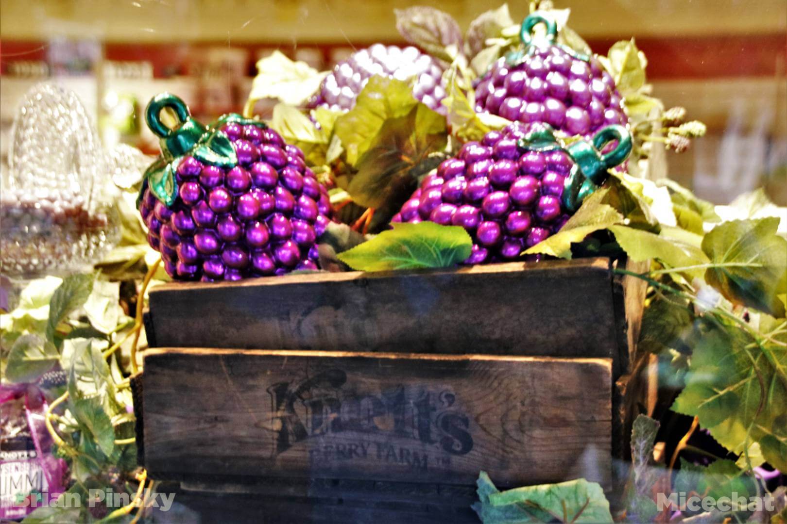 , Knott’s Boysenberry Festival Blooms & Preparing for Reopening