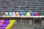 Knotts-egg-Unscramble