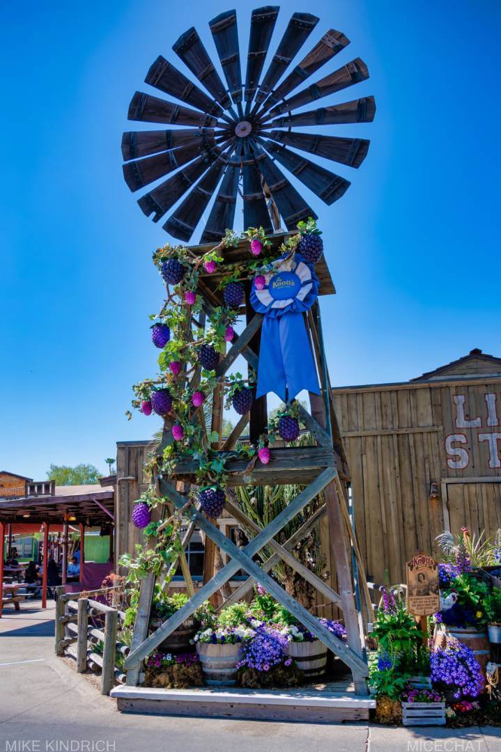 , Disneyland Update – Not Quite As Soon As You Think