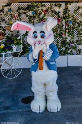 , Disneyland Update – Not Quite As Soon As You Think