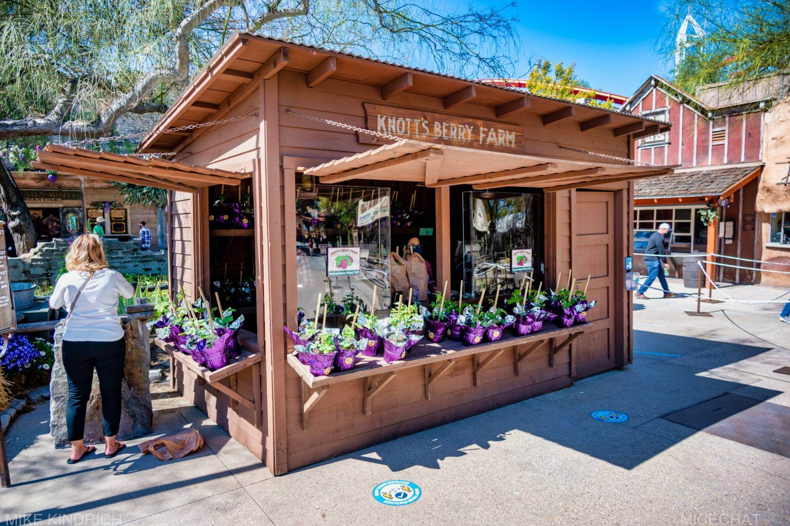 , Disneyland Update – Not Quite As Soon As You Think