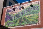Knott’s_Taste_of_Boysenberry_Festival_2021_Beary_Tales_002