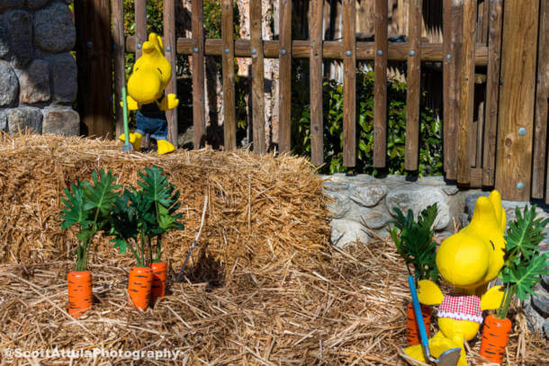 , Knott&#8217;s Boysenberry Festival Blooms &#038; Preparing for Reopening