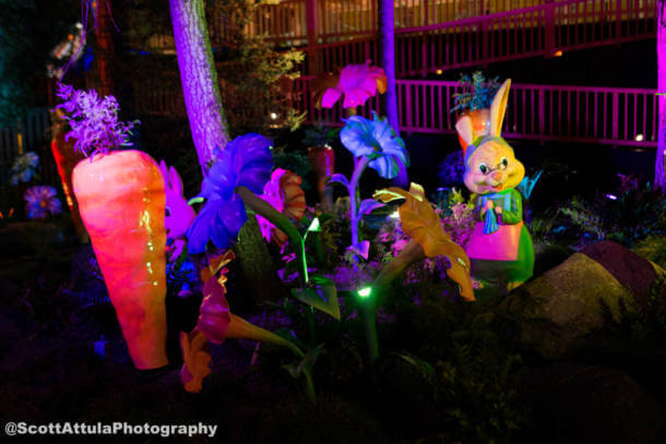 , Knott’s Boysenberry Festival Blooms & Preparing for Reopening