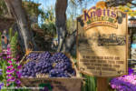 Knott’s_Taste_of_Boysenberry_Festival_2021_Glamour005