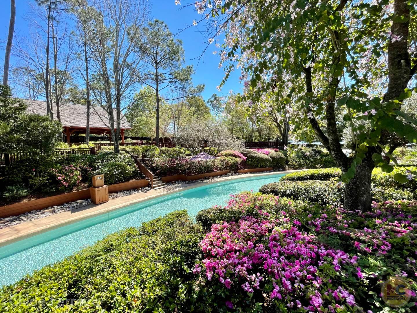 , Walt Disney World Updates – Splash, Bloom, Zoom
